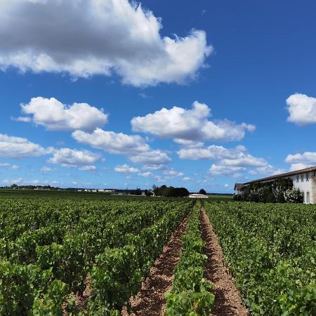 Au Coeur Des Vignobles Bed & Breakfast Saint-Estephe  Luaran gambar
